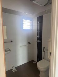 Blk 41A Skyoasis @ Dawson (Queenstown), HDB 3 Rooms #539436221